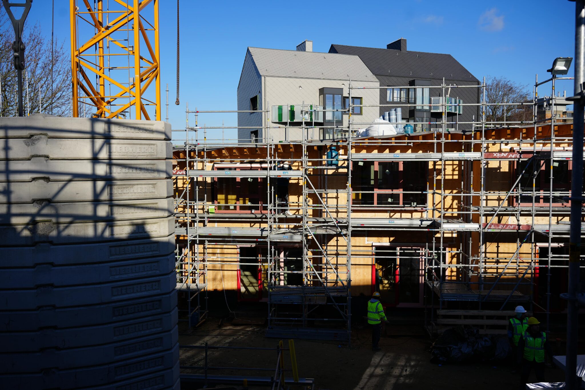 bureau_étude_ bois_timber_wood_engineering_ CLT_Cross laminated timber_GLT_Bois lamellé collé_ossature bois_lamibois_LVL_Glulam_stabilité_bureau d'étude structure_ingénieur bois_résille_treillis_panneau_circularité_bas carbone_poutre_colonne_école en structure bois_bureau en structure bois_crèche en bois_ batiment bois_RT2020_ European green deal_calcul d'assemblage bois_cadwork_étude d'exécution_calcul